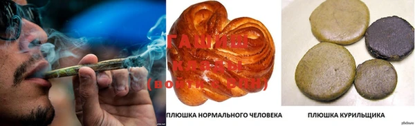 прущие грибы Балахна