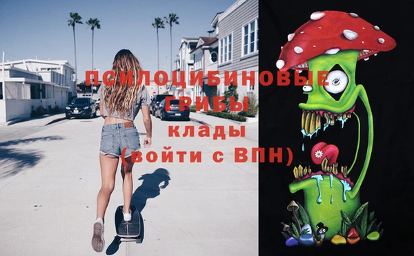 прущие грибы Балахна
