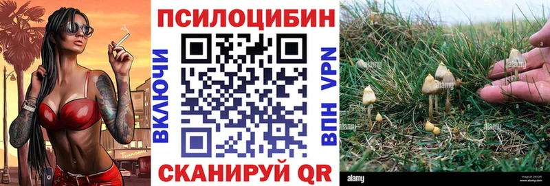 Галлюциногенные грибы прущие грибы  Шлиссельбург 